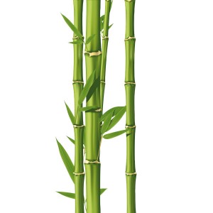 Bambus naklejka na ściane