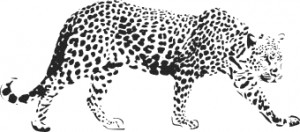 Leopard naklejki na ścianę naklejki scienne