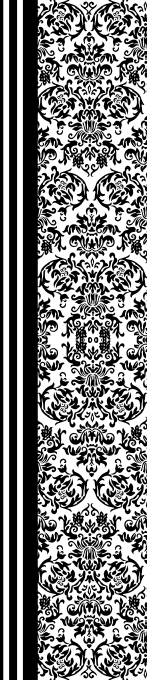 Ornament 240x52 cm