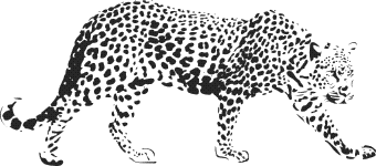 Leopard naklejki na ścianę naklejki scienne